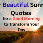 WhatsApp Image 2025-10-26 at 06.03.25_e31e6304