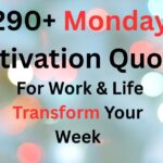 WhatsApp Image 2025-10-31 at 05.55.07_2f932a23