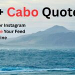 170+ Cabo Quotes & Captions for Instagram That'll Make Your Feed Shine 170+ Cabo Quotes