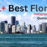 191+ Best Florida Instagram Captions & Quotes for 2025 WhatsApp Image 2025-11-12 at 10.48.28_b37c8c4b