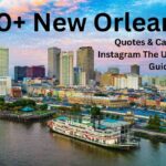 WhatsApp Image 2025-11-12 at 12.16.16_2f8ac20c